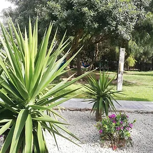 Nexo Surf House , El Palmar de Vejer Spanien